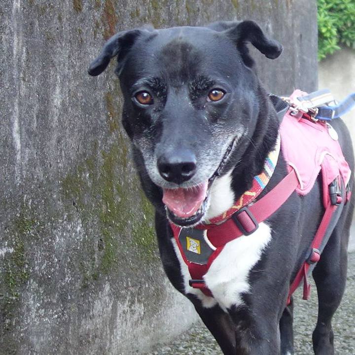 4451ce29 8dd1 4267 a201 788f118f8082 1698194652312