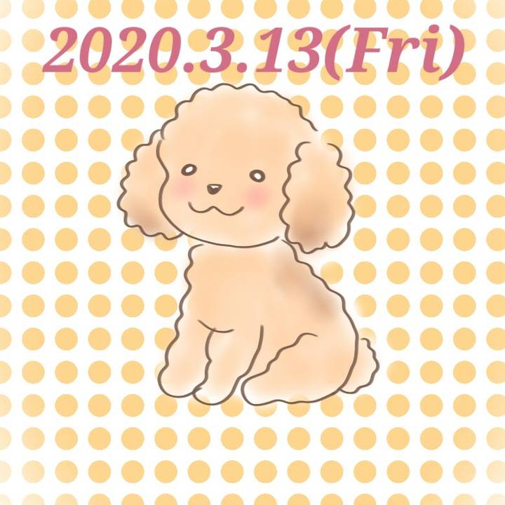 44527497 ae4a 4097 a9fd 0749b0cad6fc 1584109886616