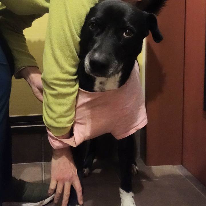 4452a35c fd46 476d 8f4d 1d46d1590583 1674298140220