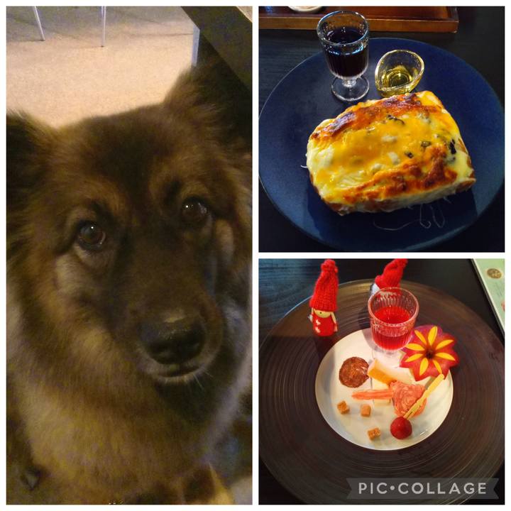 4452c9c3 08eb 4f79 add1 4368d57adf14 1766203814445