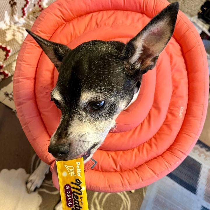 4452f336 1379 41a3 9088 fc2a8a05abaa 1637187381987