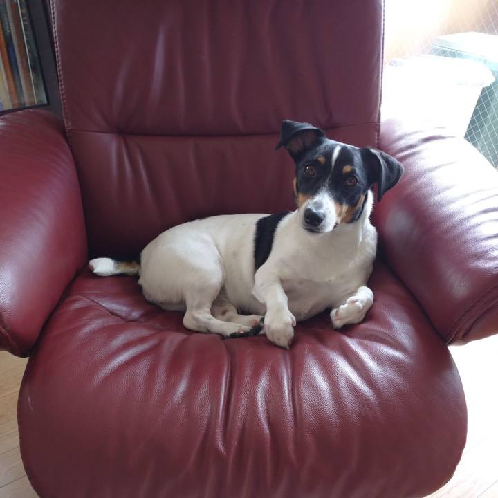 4452fab1 345d 4500 9d72 a0cfe9b24394 1630118726052