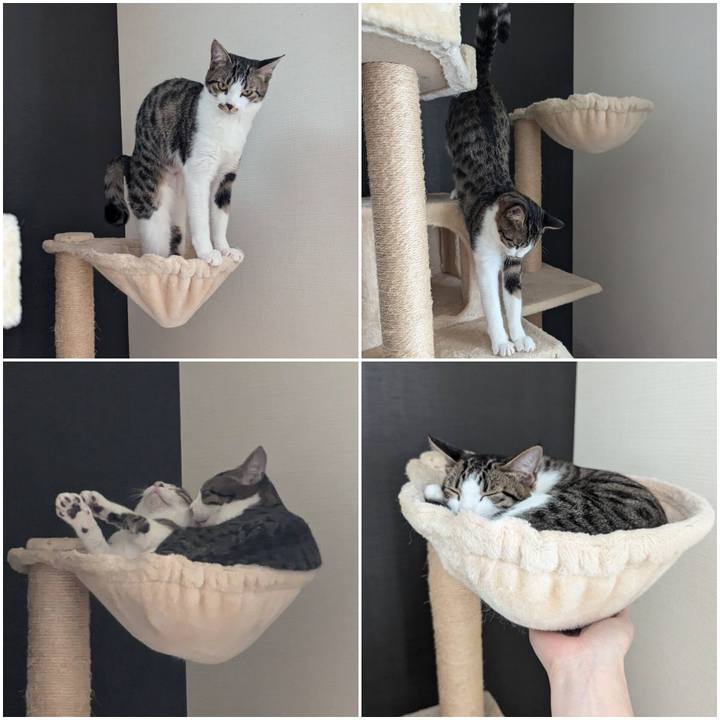 445300a4 b336 4bd3 9612 dc54d804f830 1733125415702