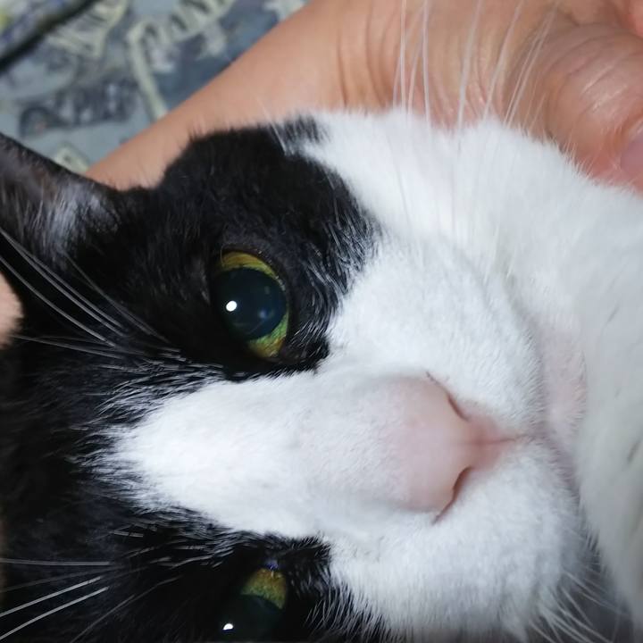 44530cb6 f17e 4e82 86fc 32ec4d2b776a 1591355230522