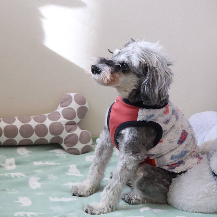 44531282 9078 4062 88d1 6a366df5a495 1763176382422