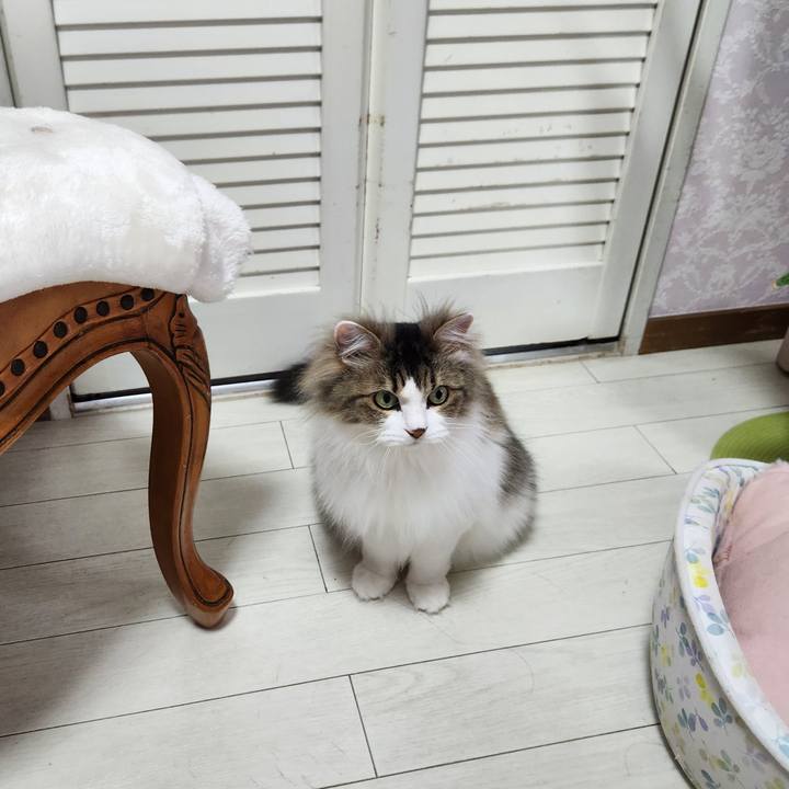 44532ae7 bce1 42b7 858d 21b7fef4ba0c 1747697060246