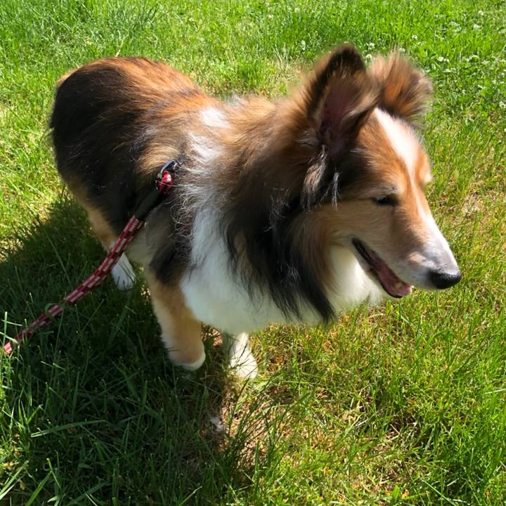 44534df5 2000 4638 9bdb b28cffa75dee 1591429636836