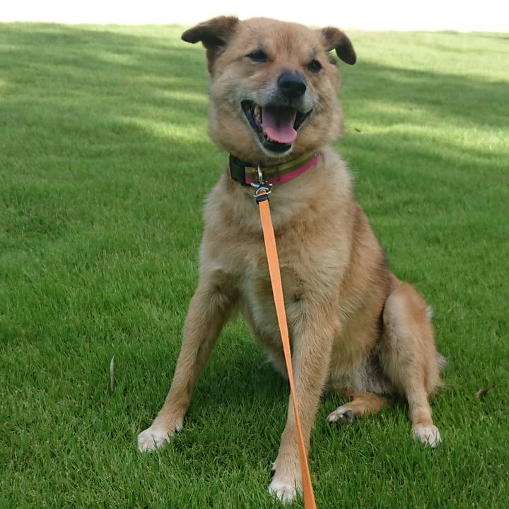 44535827 c3a8 4295 ba83 5d7d796ce943 1628401323019