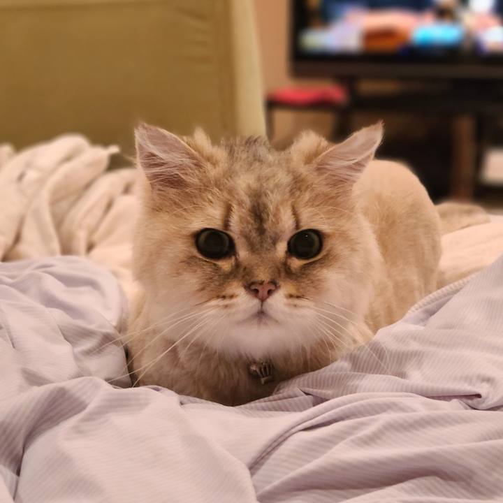 44535d6a cba5 4a26 9df8 157c8d9c6a90 1720785833983