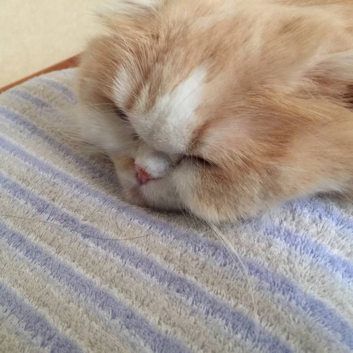 44536c4b f7f5 42a6 9acb 600979328f06 1548546716014