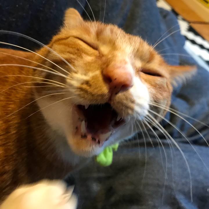 44537c90 2b7f 46bb 86eb 2675329e966c 1521180056398