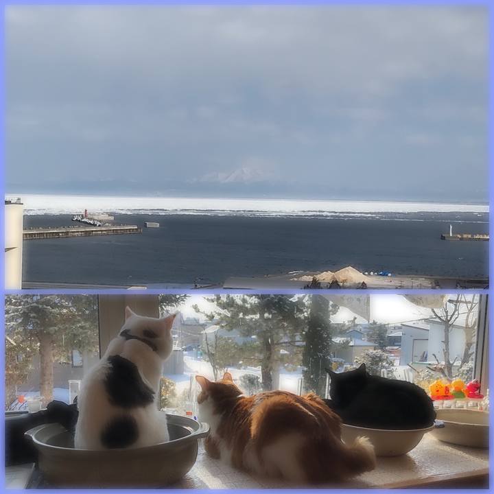 44538067 a0ee 4ff5 968e fa49a83d3b6d 1584196995633