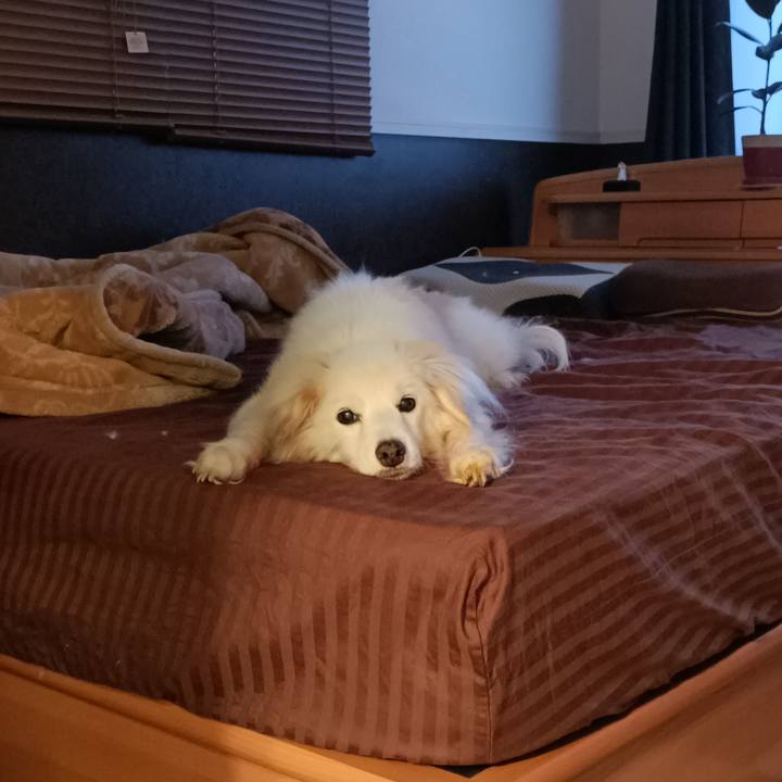 4453886b f652 4570 91be 9e3d14073f3d 1753475532441