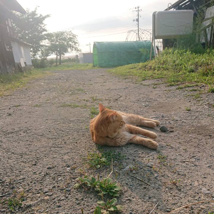 4453918b 86b5 40d9 a9f6 608e9aab276f 1655936155492