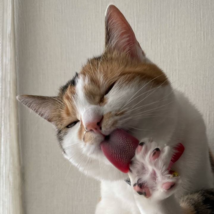 44539c7a be99 4186 a9dd 0e4229894058 1616039060578