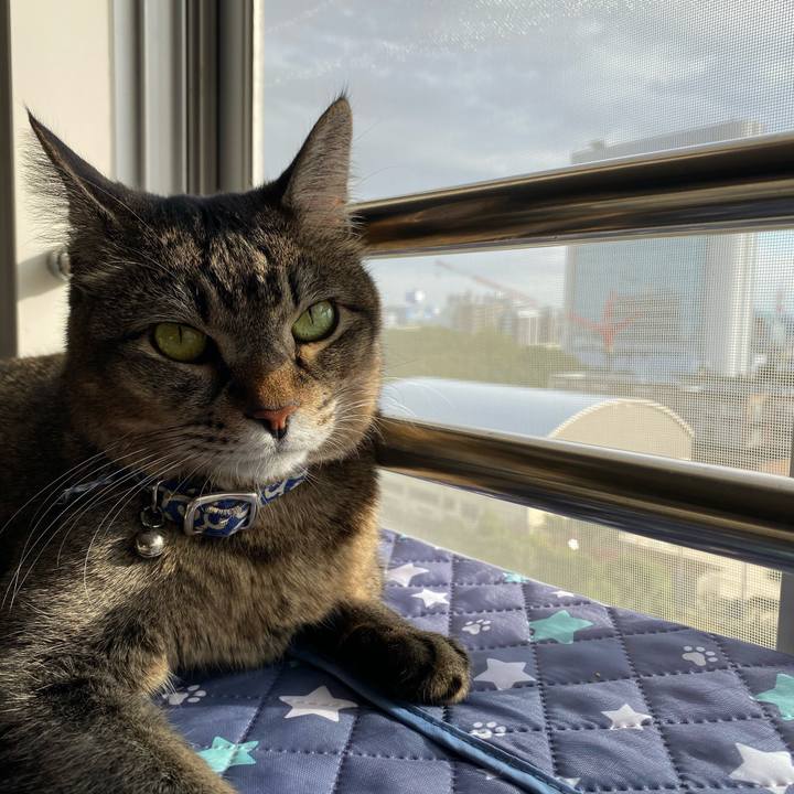 4453b95a 51d4 439b a85d 9d29815e91f7 1604213296518