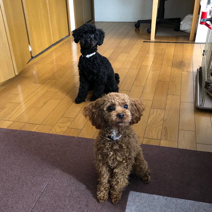 4454046a 53ac 491a 88c2 19f6bebd9d68 1515105116264