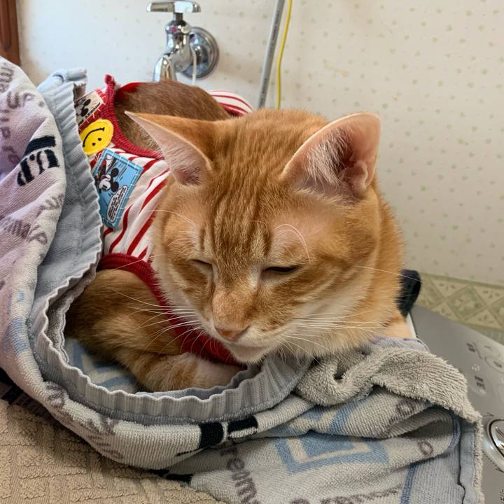 44541575 9123 4a69 932b 957bb942a654 1576371405272