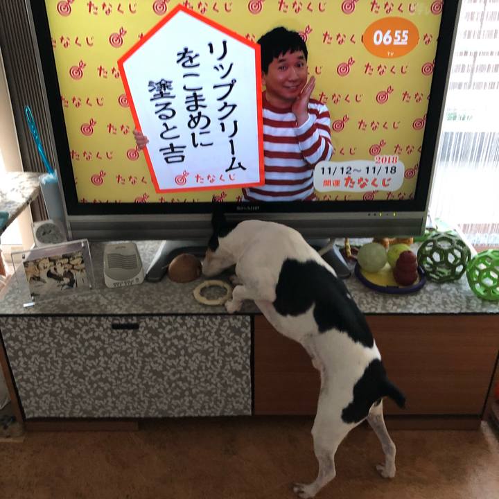 44541a1d 44ba 4d4f afe1 bcfa911e1651 1541974645365