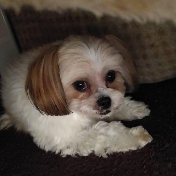 4454232e 1aab 4dbc 9a8b 516419876293 1607665714276