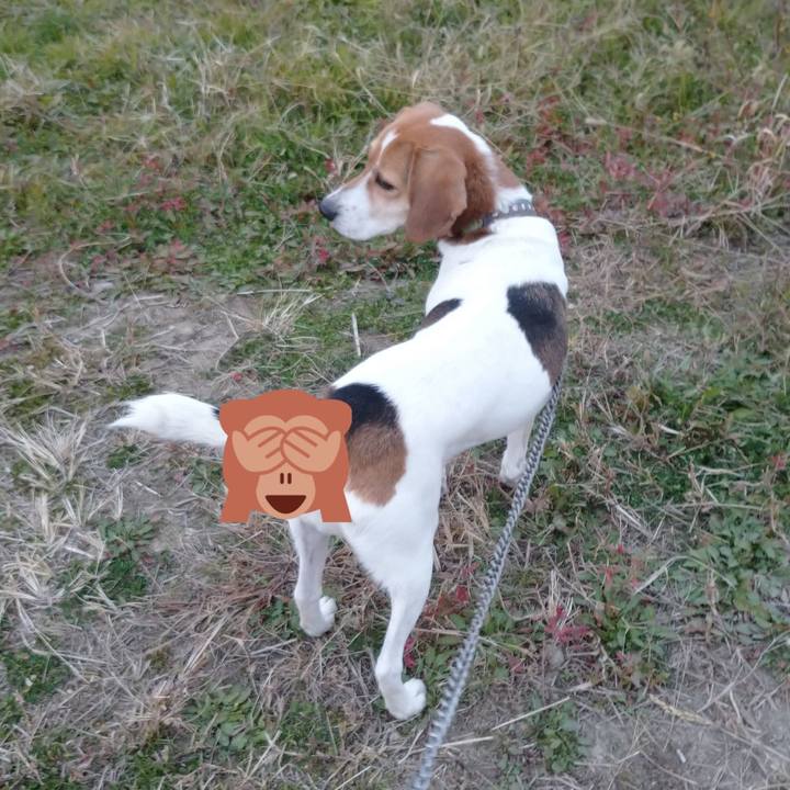 445450fd 28c0 4385 b964 842fecd38ee3 1607605669364