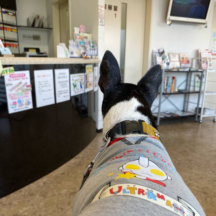 44545a32 0087 4017 8419 aeecb43cdd70 1572143631879