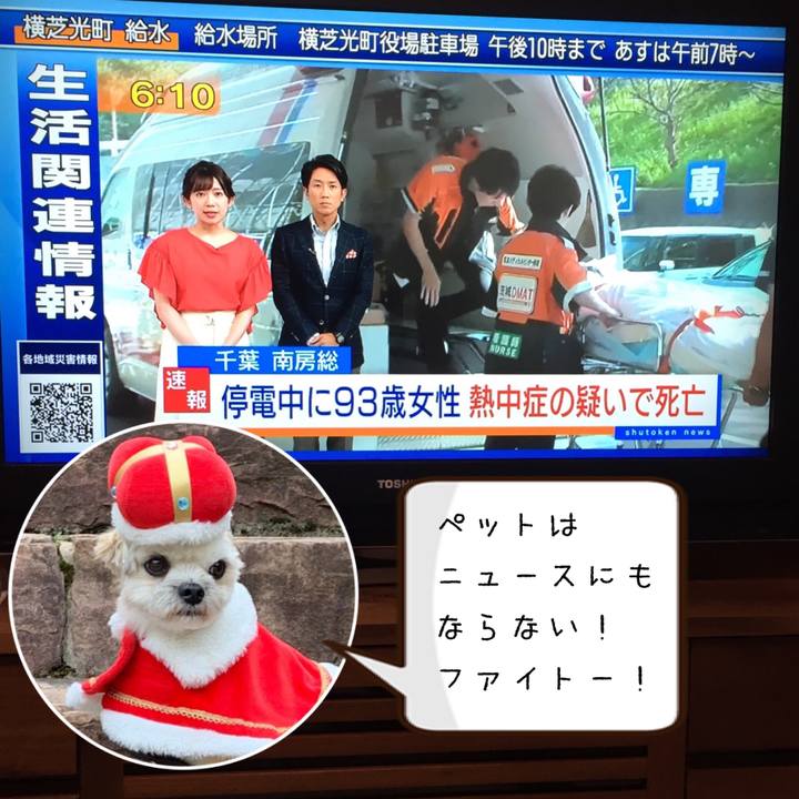 44545a6e e717 4a0d b9ed 1885930dac98 1568107050576