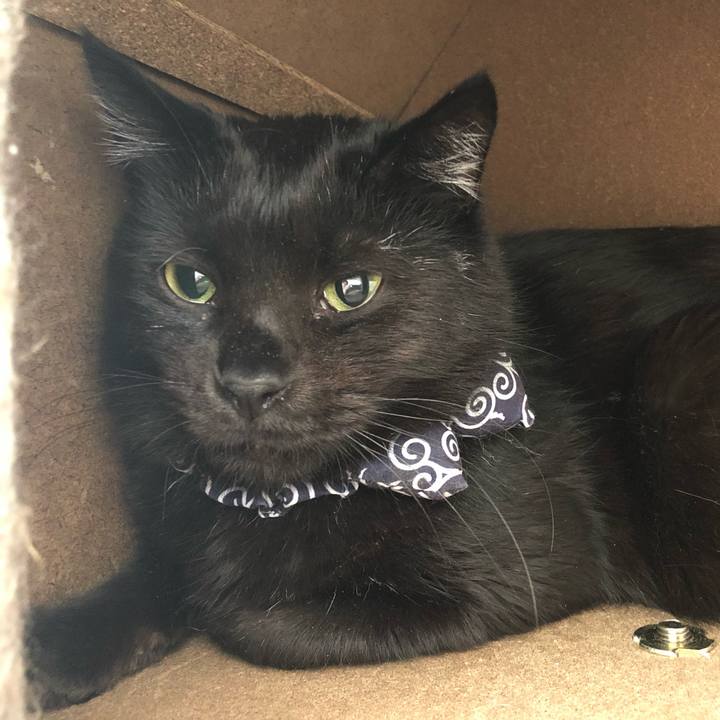 4454b389 2dd6 4085 a728 f84032b2f179 1577670706227