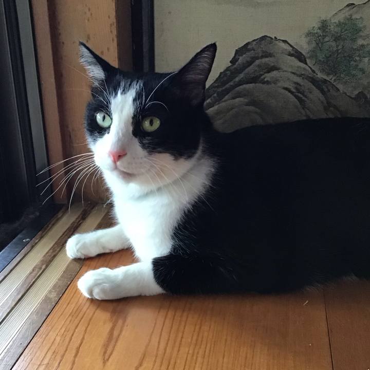 4454e02b 5d1d 4d39 a661 9a5c11f8a5d6 1756104832673