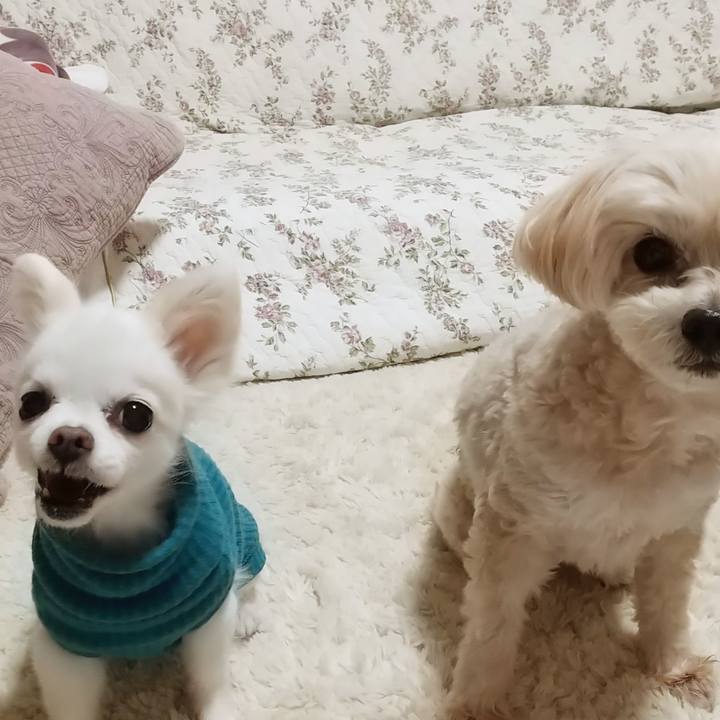 44556356 d4cc 4d1d b7ff c0793585c990 1580725278259