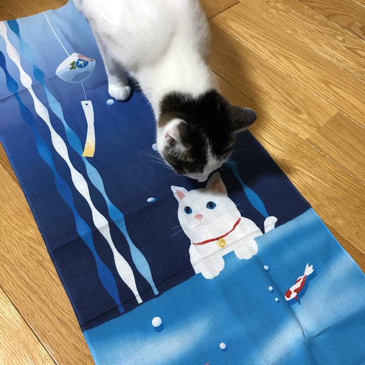 44556498 f77c 4e5e a86e 367c8b371568 1626611803080