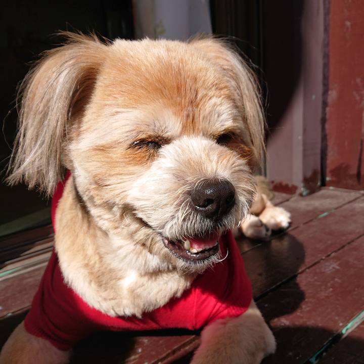 4455669c 07b2 4b78 b0be 8f47d86f9ded 1613188770395