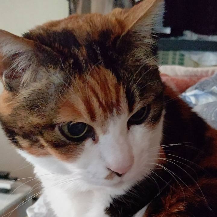 44557ec2 150f 4e9a 85f4 9153d6ab4726 1645828376097