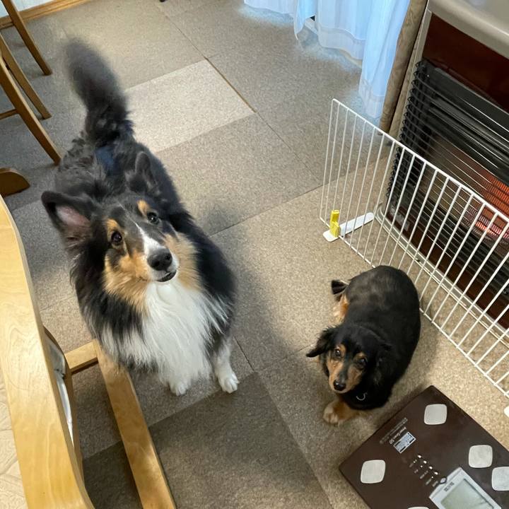 4455e641 52d3 4bd2 8daf ef277d0f1b88 1612389590116