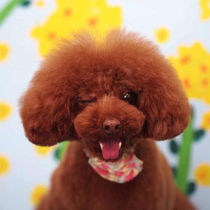 4455fcf1 af31 404a b8f2 50ae7af4bf89 1521011431175