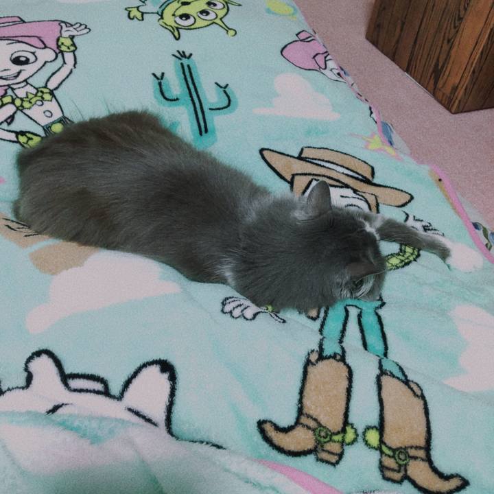 44560ce7 6214 4d16 ac1e d9282d741af7 1670845811243