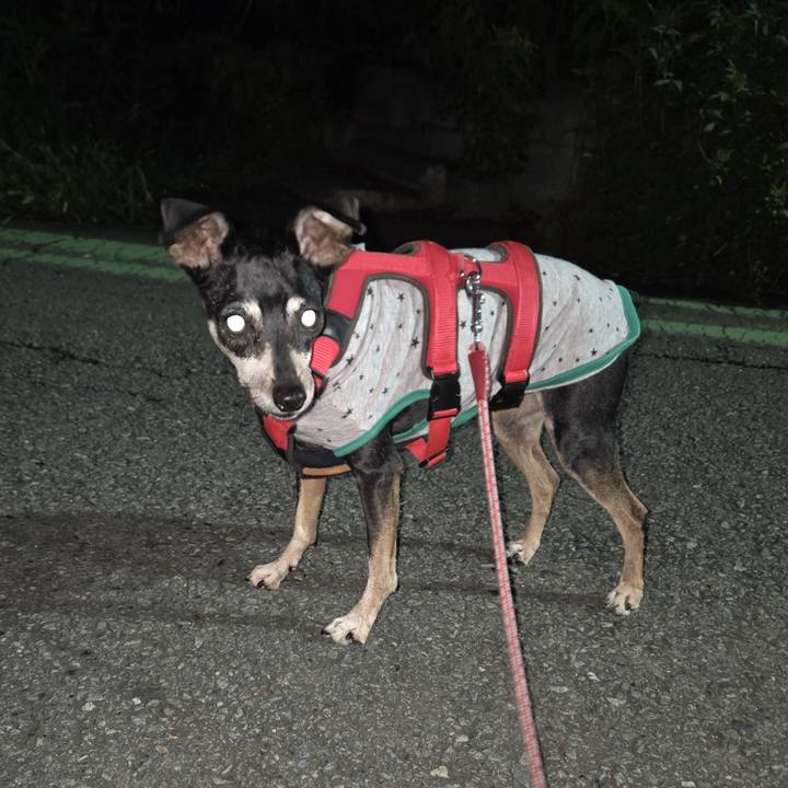 445623d5 35a1 4053 be67 471cf0449eea 1755028456262