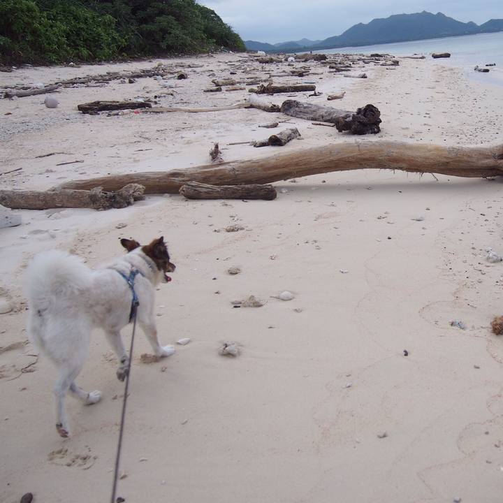 44562d1f a72b 4a8c b7a4 1ca1d18f403a 1510136532019