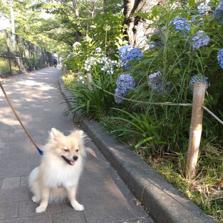 44564bf8 d459 4ebb bd23 f2fdd0aed4b0 1750737220954