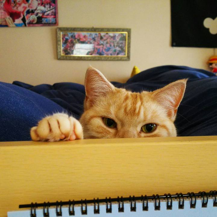 4456706d c469 4602 8931 66e53269f414 1512000391626