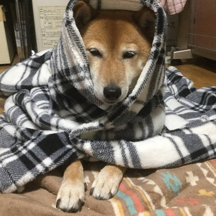 4456748d a8fb 4beb 9c9e 97063a95bf79 1560518426782