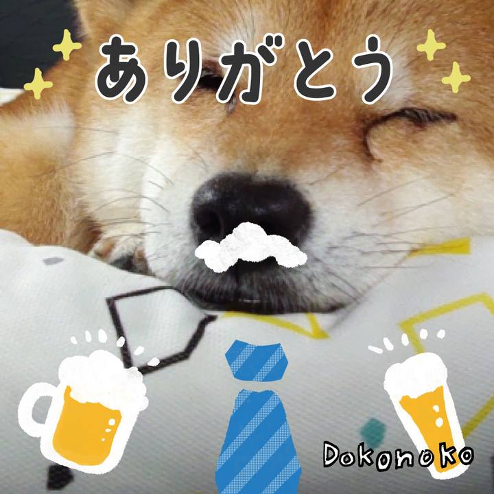 44567f4a 55de 4614 ae6f 2e67dbe5a220 1718492709713