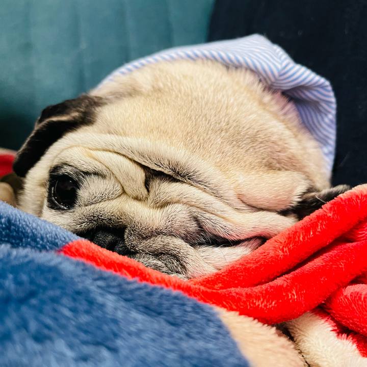 44569150 bd63 48d2 afef 3f345999097e 1772059982832