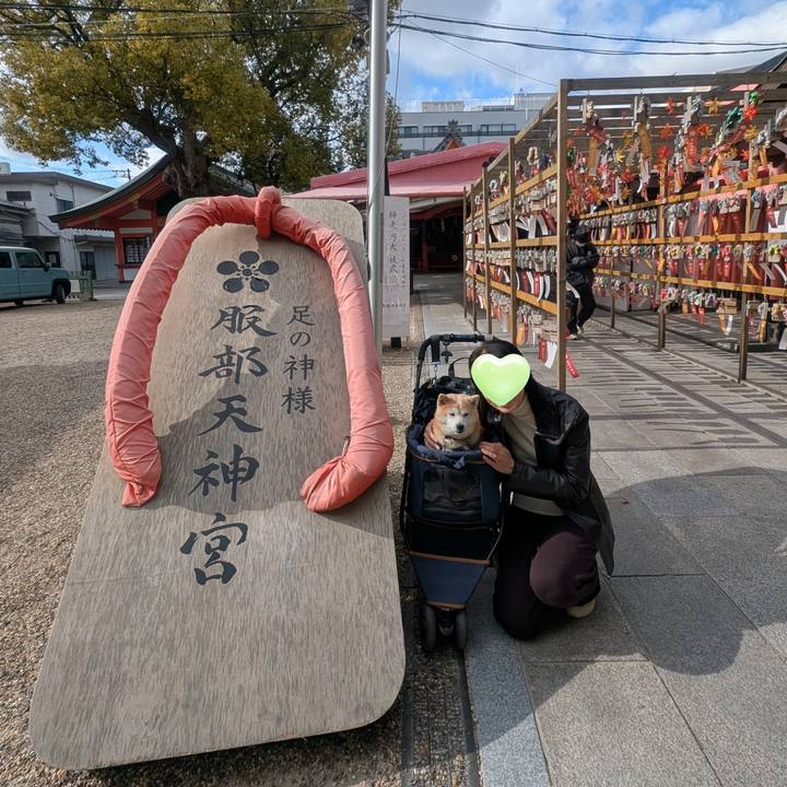 4456b36c da2a 477f 9a13 98df6f06e010 1765530400113