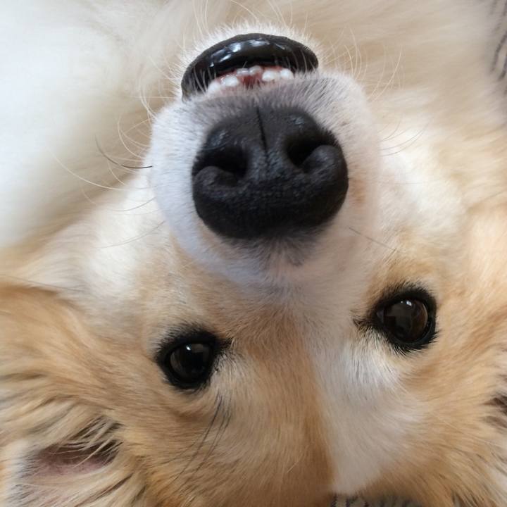 4457166b b230 4b5e a0ad 06852cc39ba5 1523773924538