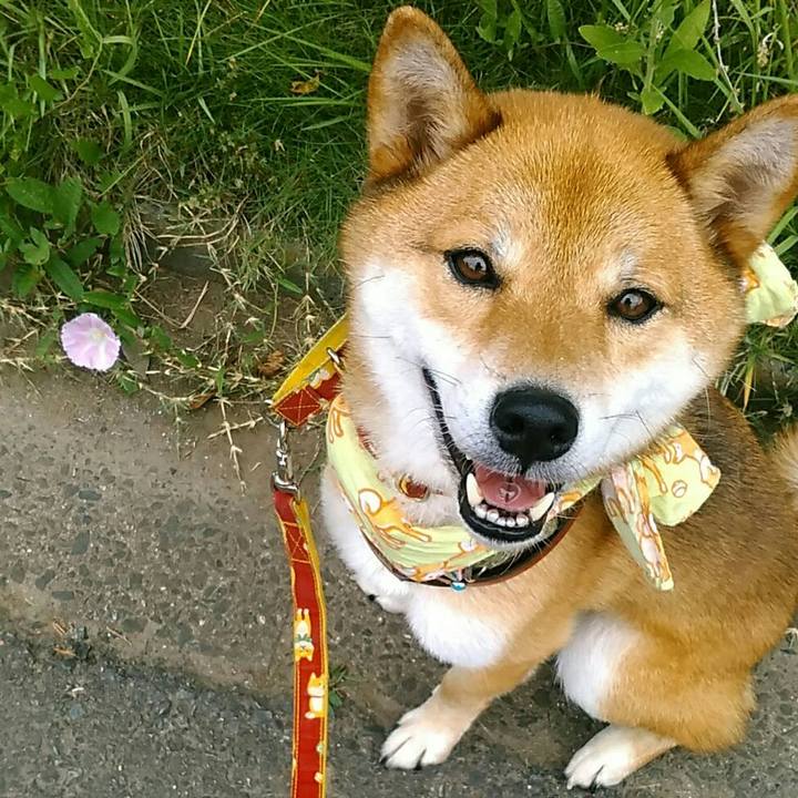 44572756 ab72 4c1e a067 15b389c8e517 1531788217266