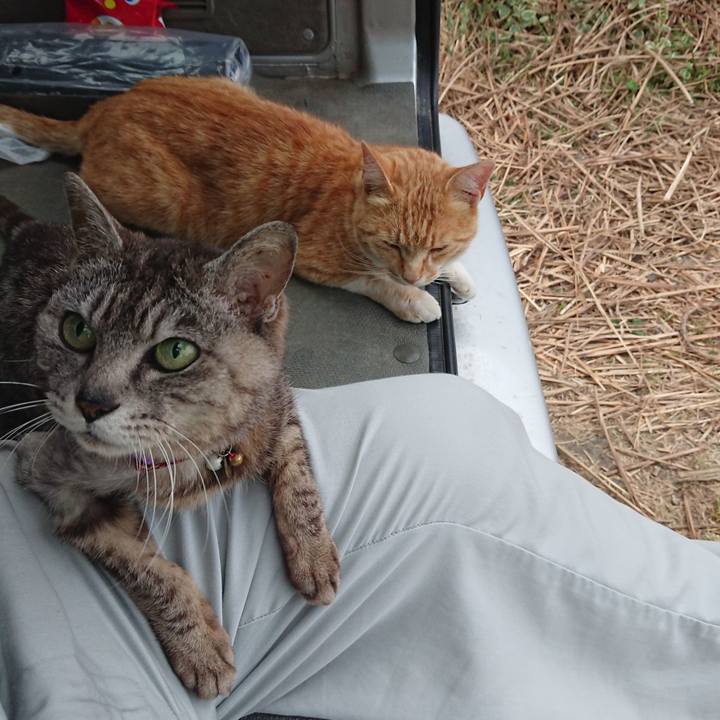 44572e0c 885e 492d 8ea1 bbd18bb07611 1591954427525