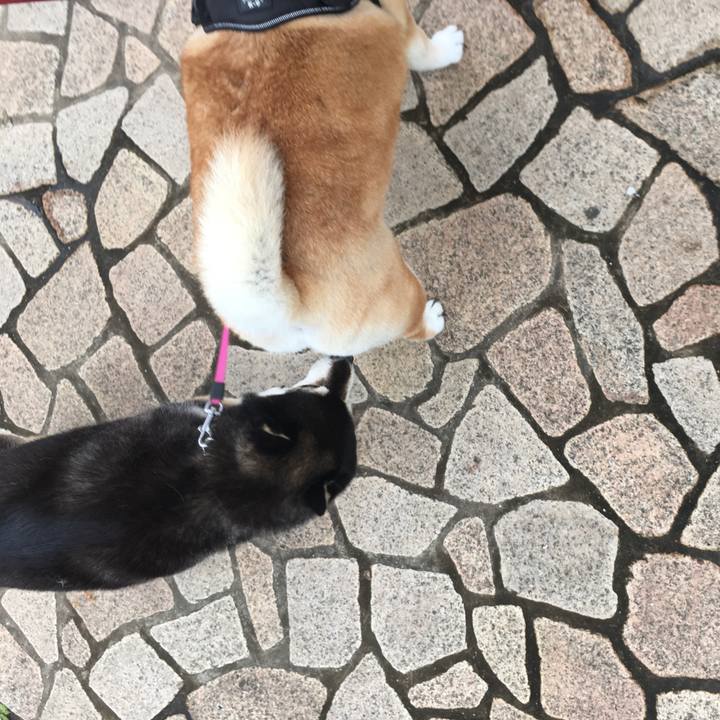 4457652f 4c86 436a 9490 633ebc613b4d 1596162856888