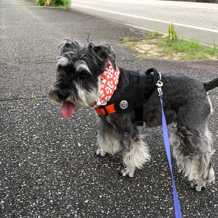 44577153 667f 495d a5f7 be45a7cf6497 1690107490228