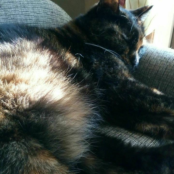 445775f3 4fa0 4110 abc8 8e60184dbab3 1533620245032